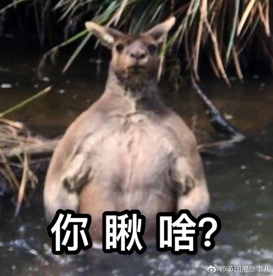 囧哥:逃不出手心!高校老师用周易算出逃课学生学号 囧哥:逃不出手心!高校老师用周易算出逃课学生学号图片