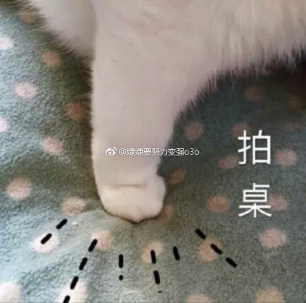 囧哥午间版:2017最新追女孩的话 看完后悔网上冲浪了 囧哥午间版:2017最新追女孩的话 看完后悔网上冲浪了图片