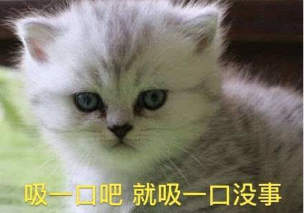 囧哥:全国压岁钱地图出炉!广东一封红包平均50福建高达3500