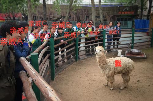 囧哥:伟霆艺兴黄渤出来我爸说这仨娃长真快…春晚段子都在这了