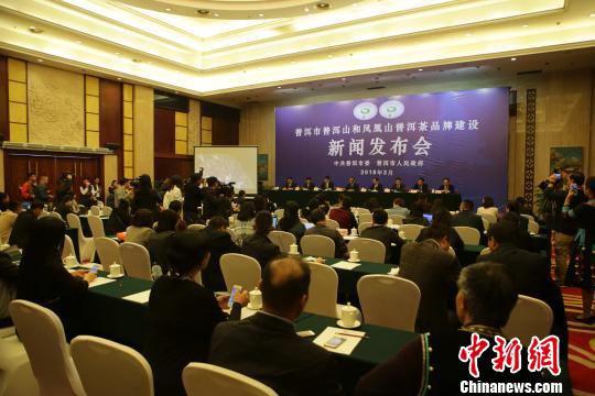 图为新闻发布会现场。 钟欣 摄