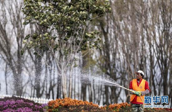 工人为大理市环洱海流域湖滨缓冲带生态廊道的鲜花浇水(2021年1月11日摄)。新华社记者江文耀摄