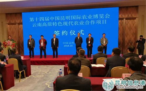 签约仪式现场。供图
