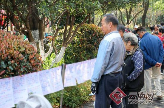 未来相亲往哪去?