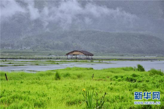北海湿地景区。张翼鹏 摄