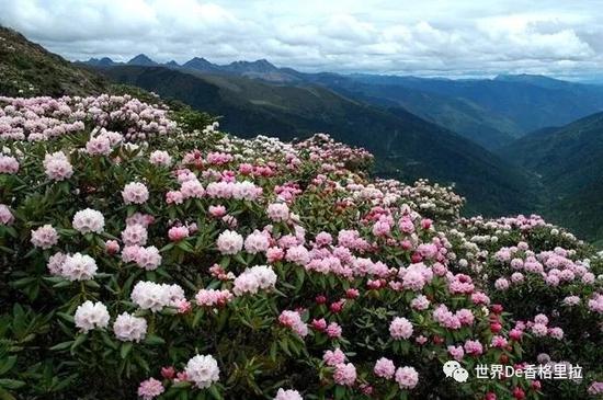 点击此处添加图片说明文字