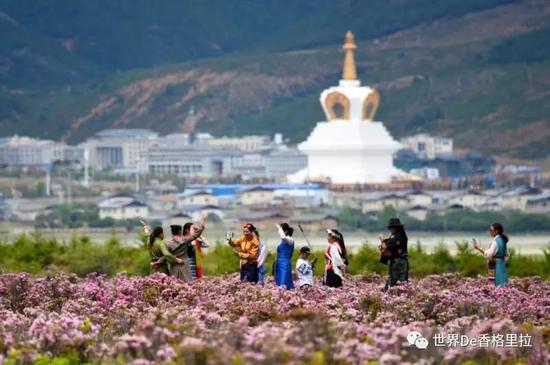 点击此处添加图片说明文字