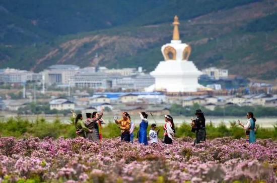 五月高原的湖泊也开始解冻,如同高原明珠,点缀在群山与草原之间。