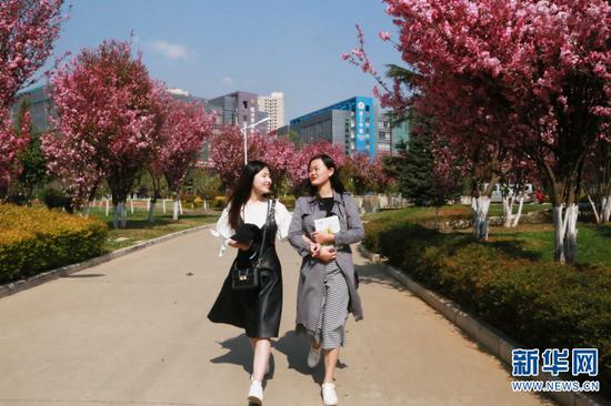 鲜花绽放春满校园。刘思奇(左)刘婷婷(右)。新华网 马一文 摄
