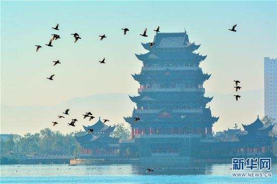 青华海 新华网发(蔡庆彪 摄)