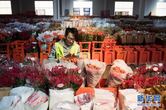 2月12日,在中国云南昆明斗南国际花卉拍卖交易中心,一名质检员对鲜花进行质量检验及等级评定。 新华社记者 江文耀 摄