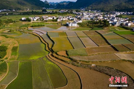 资料图:航拍贵州万峰林景区田园风光。中新社记者 贺俊怡 摄