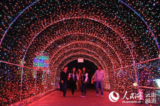 昆明世博园夜景。人民网 虎遵会 摄