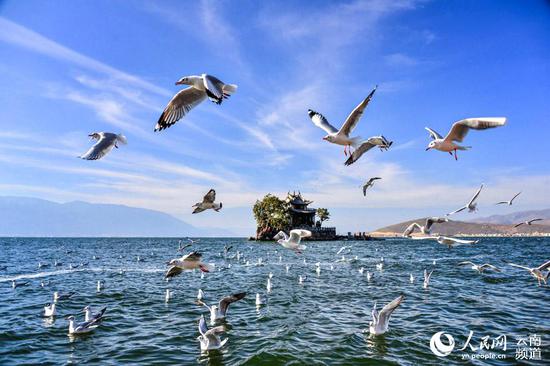 大理洱海。摄影:杨继培