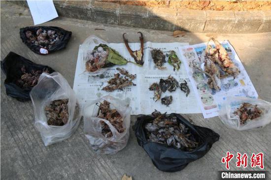 图为野生动物制品。 王晶 摄