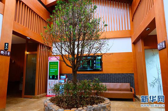 丽江蓝月谷旅游厕所内景。新华网发(云南省文化和旅游厅 供图)