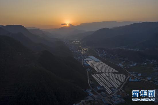云南省曲靖市会泽县待补镇的草莓种植基地(无人机照片,1月15日摄)。新华社记者 江文耀 摄