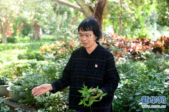 “我扮演着两个园丁的角色,一个培养学生,一个打理花草”(2019年10月17日摄)。新华网 丁凝 摄