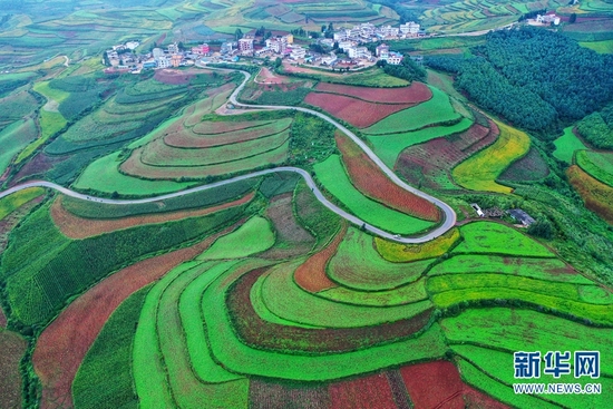 航拍视角下的东川红土地。新华网发(崔永江 摄)