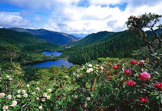 滇省众山之祖--丽江老君山