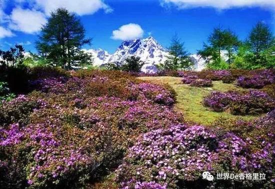 点击此处添加图片说明文字