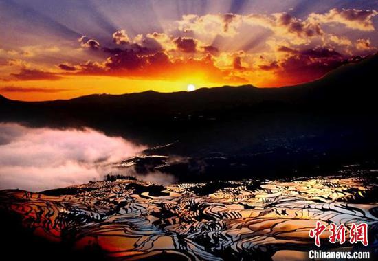 资料图:云南元阳的七彩梯田被称为“地球上最美的曲线”。
