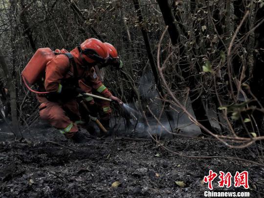 图为灭火人员清理火场内烟点和地下火。云南省森林消防总队供图