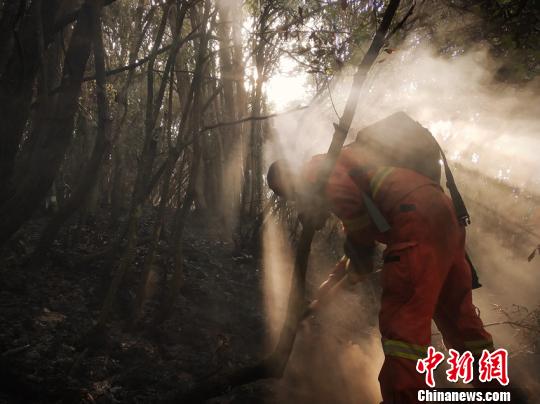 图为森林消防指战员正在清理烟点。云南省森林消防总队供图