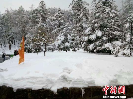 图为7日拍摄的玉龙雪山雪景。 范猜猜 摄