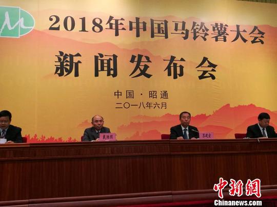 图为新闻发布会现场。 胡远航 摄