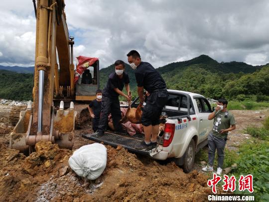 图为销毁野生动物死体及制品。江城县森林公安局供图