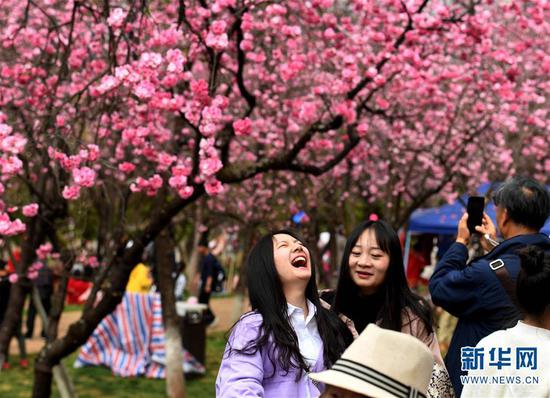 昆明,2019年3月17日 昆明樱花盛开 游人纷至沓来 游人在昆明圆通山公园观赏盛开的樱花(3月16日摄)。