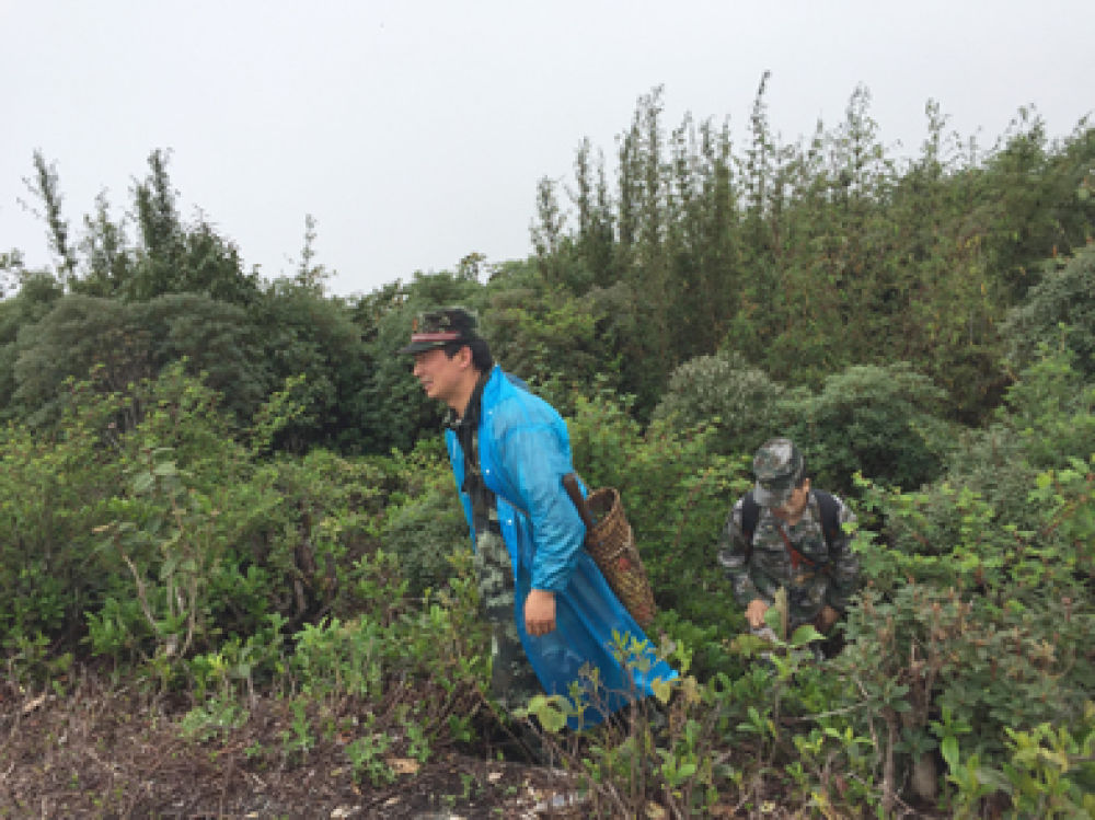 ▲界务员蔡新装(左)和蔡添光攀上尖高山山顶。新华每日电讯记者林碧锋摄