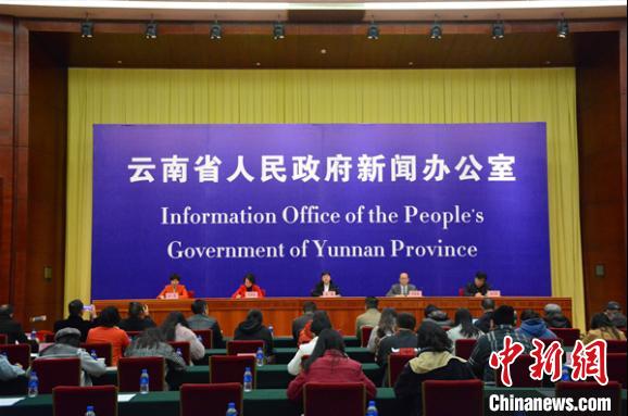 图为新闻发布会现场 赵嘉 摄