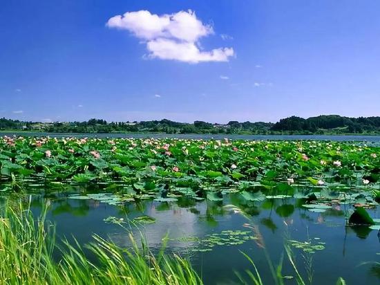 加强监测预警和风险提示
