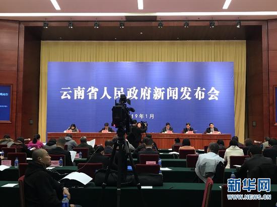 发布会现场。(新华网 詹晶晶 摄)