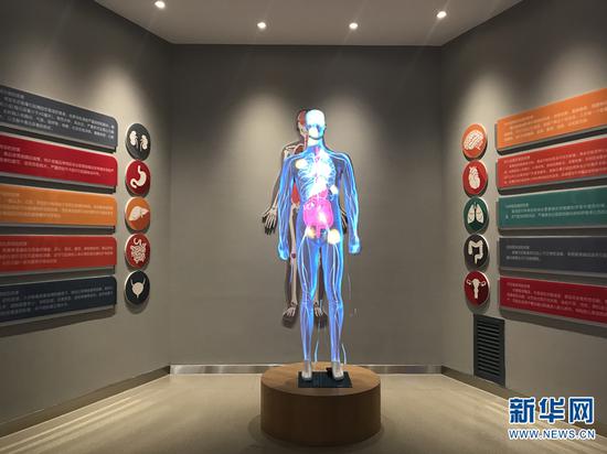 曲靖市禁毒教育基地实体馆内详细展示毒品对人体的危害。(新华网 詹晶晶 摄)