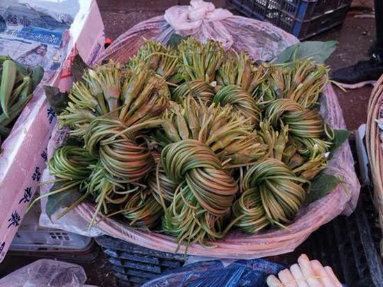 海菜花