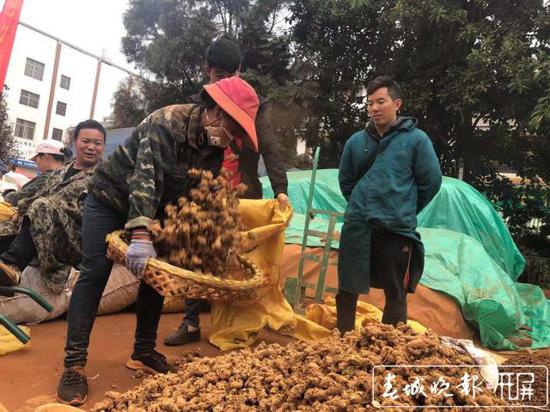 春城晚报-开屏新闻记者 罗宗伟 摄影报道