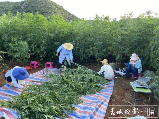 ▲朱炫 摄