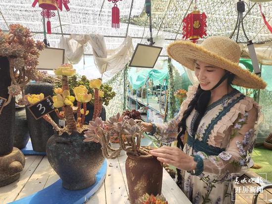 古木派多肉花园店主小龙虾