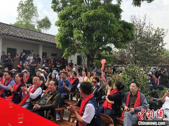 3月28日,云南墨江米地贡茶园茶王树头采鲜叶竞拍吸引众多茶商及普洱茶爱好者参与。 刘丽慧 摄