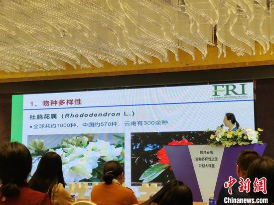 图为活动现场。 韩帅南 摄