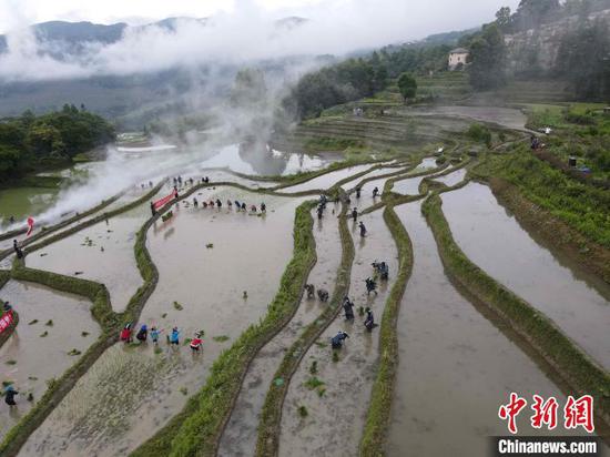 “开秧门” 现场 元阳县融媒体中心供图