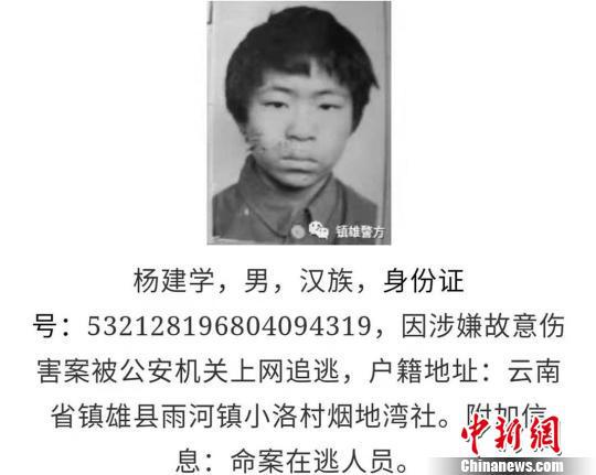 图为公告截图。 镇雄警方 摄