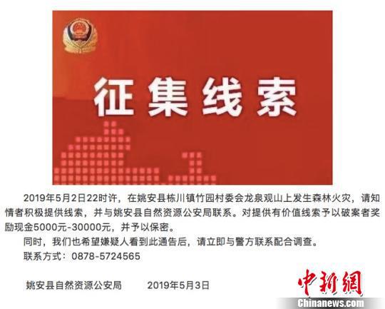 图为姚安县自然资源公安局发布的通告 微信截图