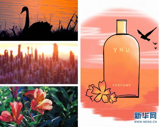 云大版“香水”西沉落日,前调:橙色黄昏;中调:浪漫薰衣草;后调:赤色小景。新华网发(云南大学供图)