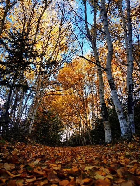 香格里拉月亮湖秋意如画 图/余晶晶