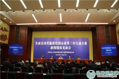 媒体见面会现场。实习记者庄园 摄