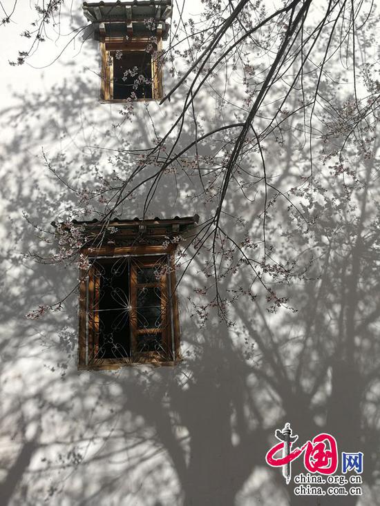 画楼春早,一树桃花笑。——凌廷堪《点绛唇·春眺》 摄影 余江